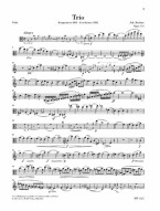Johannes Brahms: Trio in A Minor, Op. 114 (noty na klarinet (violu), violoncello, klavír)