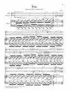 Ernest Chausson: Piano Trio In G Minor Op. 3 (noty na housle, violoncello, klavír)