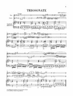 J.S. Bach: Trio Sonata Canon Perpetuos BWV 1079 Nr. 8 und 9 (noty na příčnou flétnu, housle, klavír)