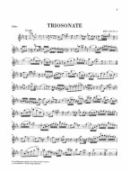 J.S. Bach: Trio Sonata Canon Perpetuos BWV 1079 Nr. 8 und 9 (noty na příčnou flétnu, housle, klavír)