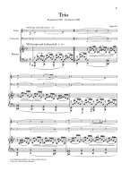 Robert Schumann: Works for Piano Trio (noty na housle, violoncello, klavír)