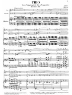 Carl Maria von Weber: Trio In G Minor Op.63 (noty na příčnou flétnu, violoncello, klavír)