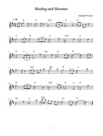 Favorite Recorder Tunes: Beautiful Airs and Ballads of the British Isles (noty na zobcovou flétnu)