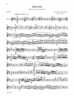 Beethoven: Complete Sonatas for Violin & Piano (noty na housle) (+audio)