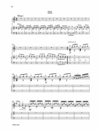 Antonio Vivaldi: 2 Concerti for Guitar / Lute & Orchestra (noty na kytaru nebo loutnu) (+audio)