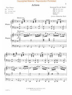 Schirmer's Organ and Piano Duets (noty na varhany, klavír)