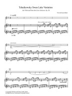 Vivan & Ketan Bhatti: Tchaikowsky Swan Lake Variation (noty na housle, klavír)
