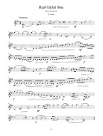 Elaine Fine: Advanced Violin Scale Studies (noty na housle)