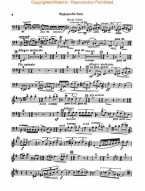 Ernest Bloch: Schelomo (noty na violoncello, klavír)