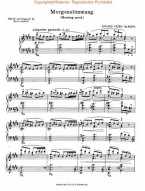 Edvard Grieg: Peer Gynt Suite - Complete (noty na klavír)