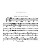 Franz Schubert: Original Compositions for Piano 1 (noty na čtyřruční klavír)