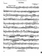 Max Bruch: Kol Nidrei Op.47 (noty na violoncello, klavír) (+audio)