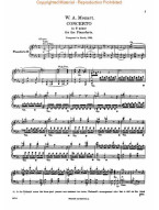 W.A. Mozart: Concerto No. 24 in C Minor, K.491 (noty na čtyřruční klavír)