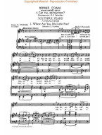 Modest Musorgskij: Complete Songs - 66 Songs in Original Keys (noty na zpěv, klavír)