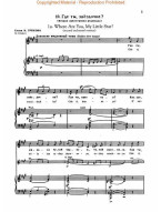 Modest Musorgskij: Complete Songs - 66 Songs in Original Keys (noty na zpěv, klavír)