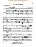 Willem Ten  Have: Allegro Brillante Opus 19 (noty na housle, klavír)