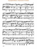 Willem Ten  Have: Allegro Brillante Opus 19 (noty na housle, klavír)