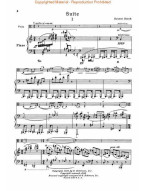 Ernest Bloch: Suite (noty na violu, klavír)
