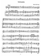 Solo Pieces For The Beginning Treble/Alto Recorder (noty na zobcovou flétnu, klavír)