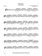 Guitar Works of Agustin Barrios Mangoré 4 (noty na kytaru)