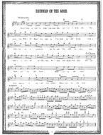 Bluegrass Fiddler (noty na housle)