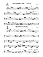 Great Fiddling Tunes: Celtic Gems (noty na housle) (+audio)