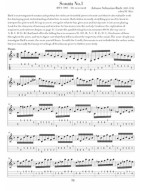 100 Techniques and Exercises For Mandolinist (noty, tabulatury na mandolínu) (+audio)