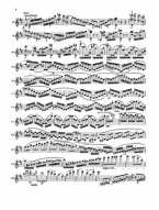 Johannes Brahms: Violin Concerto in D Major, Op. 77 (noty na housle) (+audio)