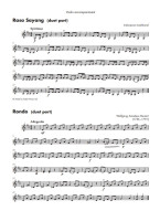 Flexi Violin 1 (noty na housle, klavír)