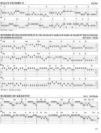 Adam Granger: Granger's Fiddle Tunes for Guitar (tabulatury na kytaru) (+audio)