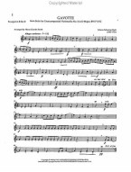 14 Collected Intermediate Quintets (noty na trubku)