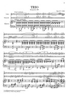 Franz Schubert: Piano Trios (noty na housle, violoncello, klavír)