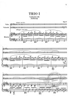 Johannes Brahms: Piano Trios (noty na housle, violoncello, klavír)