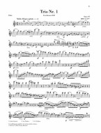 Felix Mendelssohn Bartholdy: Piano Trio Op. 49 (noty na příčnou nebo housle, part)