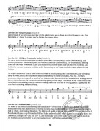 David Barrett: Daily Studies for Diatonic Harmonica (noty na harmoniku) (+audio)