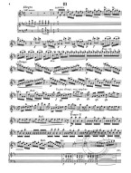W.A. Mozart: 3 Cadenzas For Concerto KV 314 (noty na příčnou flétnu)