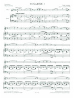 Franz Schubert: Sonatine In D, D384 (noty na příčnou flétnu, klavír)