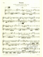 Georg Philipp Telemann: Sonata, TWV 41:g3 in G minor (noty na příčnou flétnu, basso continuo) (+audio)