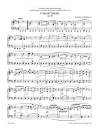 Beethoven: Sonata In D Op.28 