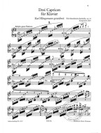 Felix Mendelssohn: Works For Piano For Two Hands 2 (noty na klavír)