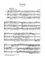 Antonín Dvořák: Terzetto in C major op. 74 - Study score (noty pro 2 housle, violu)