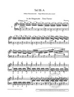 Otto Thümer: Neue Etudenschule 3 (noty na klavír)