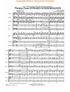Themes from Edward Scissorhands / Střihoruký Edward (noty pro smyčcový orchestr, party, partitura)