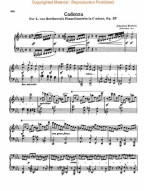 Johannes Brahms: Complete Works For Piano Solo 3 (noty na klavír)