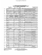 Theme from Schindler's List (noty pro příčnou flétnu, koncertní orchestr, party, partitura)
