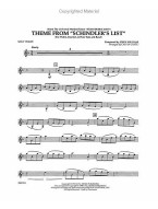 Theme from Schindler's List (noty pro příčnou flétnu, koncertní orchestr, party, partitura)