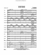 Taylor Swift: Eyes Open from The Hunger Games (snadné noty pro koncertní orchestr, party, partitura)