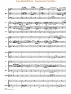 Love Theme from The Godfather (snadné noty pro koncertní orchestr, party, partitura)