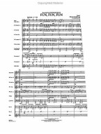 Beach Boys: Fun, Fun, Fun (snadné noty pro koncertní orchestr, party, partitura)
