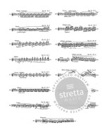 Frédéric Chopin: Complete Works II: Studies (noty na klavír)